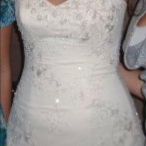 Wedding Dress and Veil